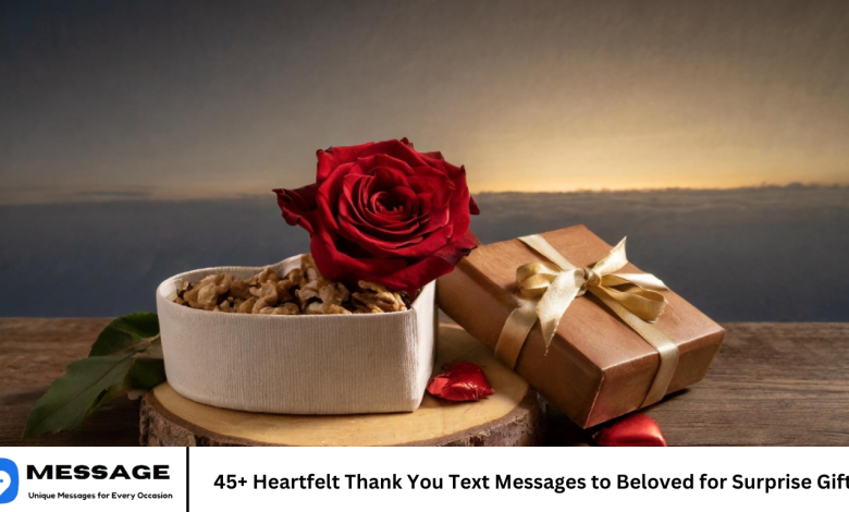 45+ Heartfelt Thank You Text Messages to Beloved for Surprise Gift