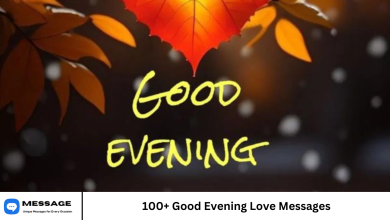 100+ Good Evening Love Messages