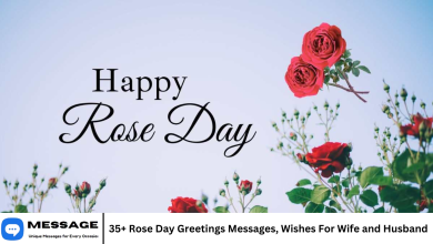 35+ Rose Day Greetings Messages, Wishes For Wife and Husband