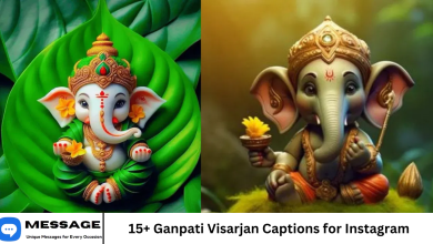 15+ Ganpati Visarjan Captions for Instagram