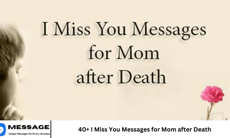 40+ I Miss You Messages for Mom after Death